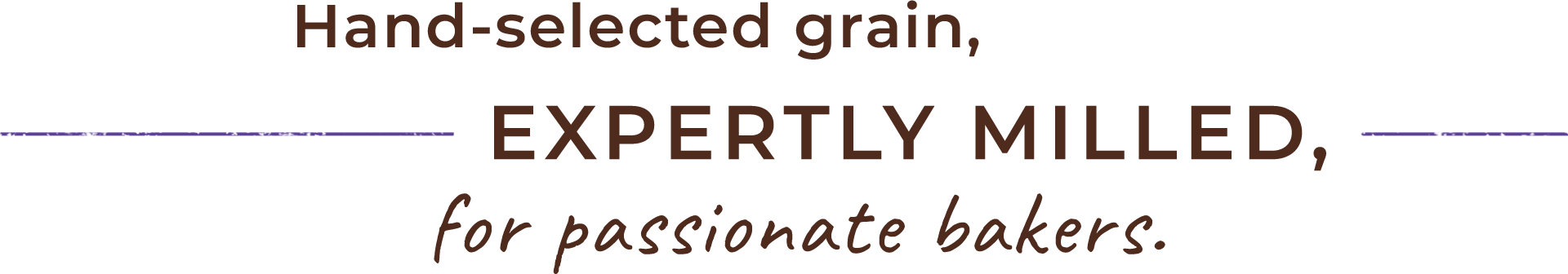 Hand-selected grain, expertly milled, for passionate bakers.