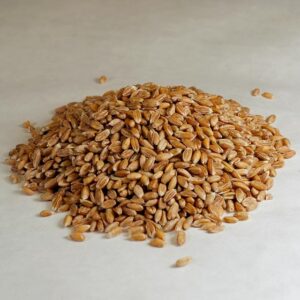 Organic Whole Spelt Berries