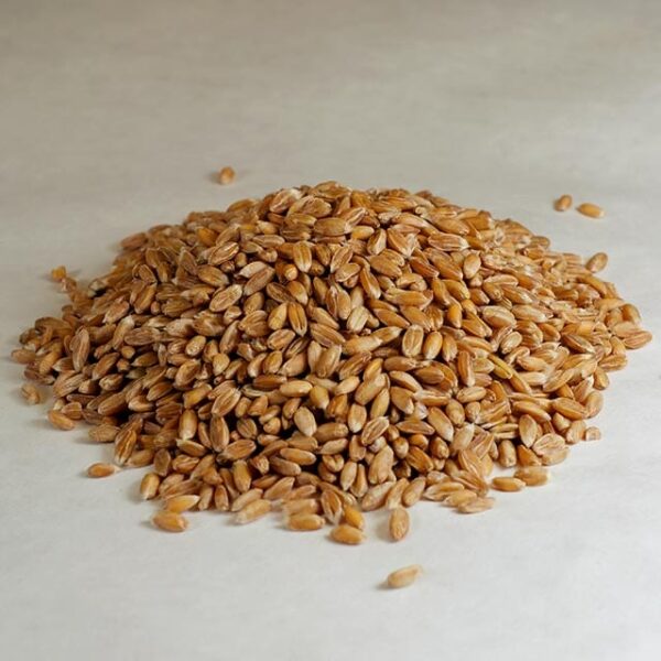 Organic Whole Spelt Berries